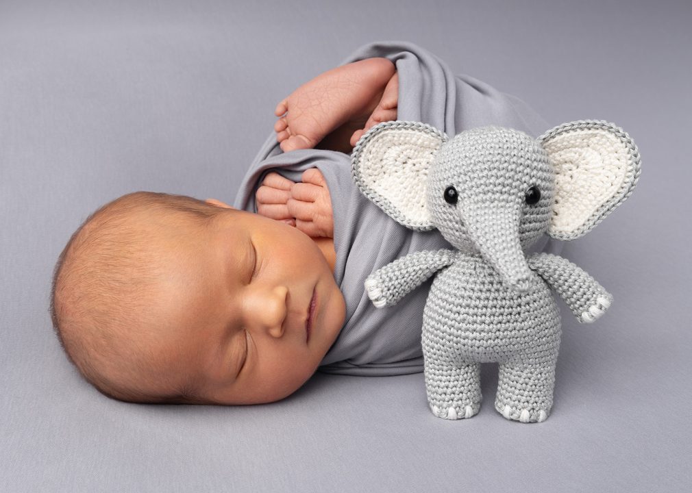Ein Baby liegt neben einem gehäkelten Elefanten bei einem Neugeborenen Fotoshooting.