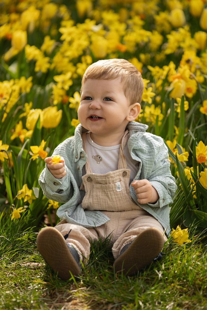 Ein einjähriges Baby sitzt vor gelben Blumen bei einem Familien Shooting im Park.